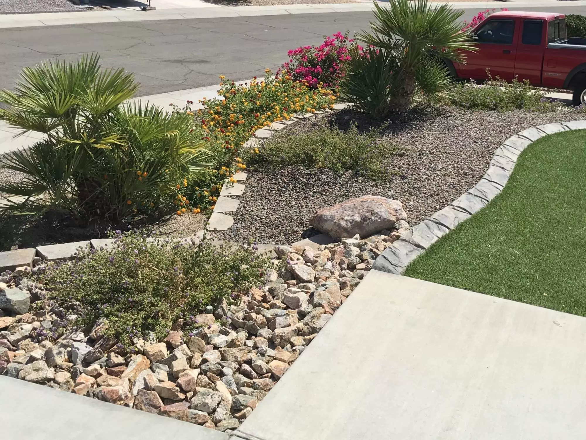 Plant Installation in Bullhead City, Kingman, and Lake Havasu City