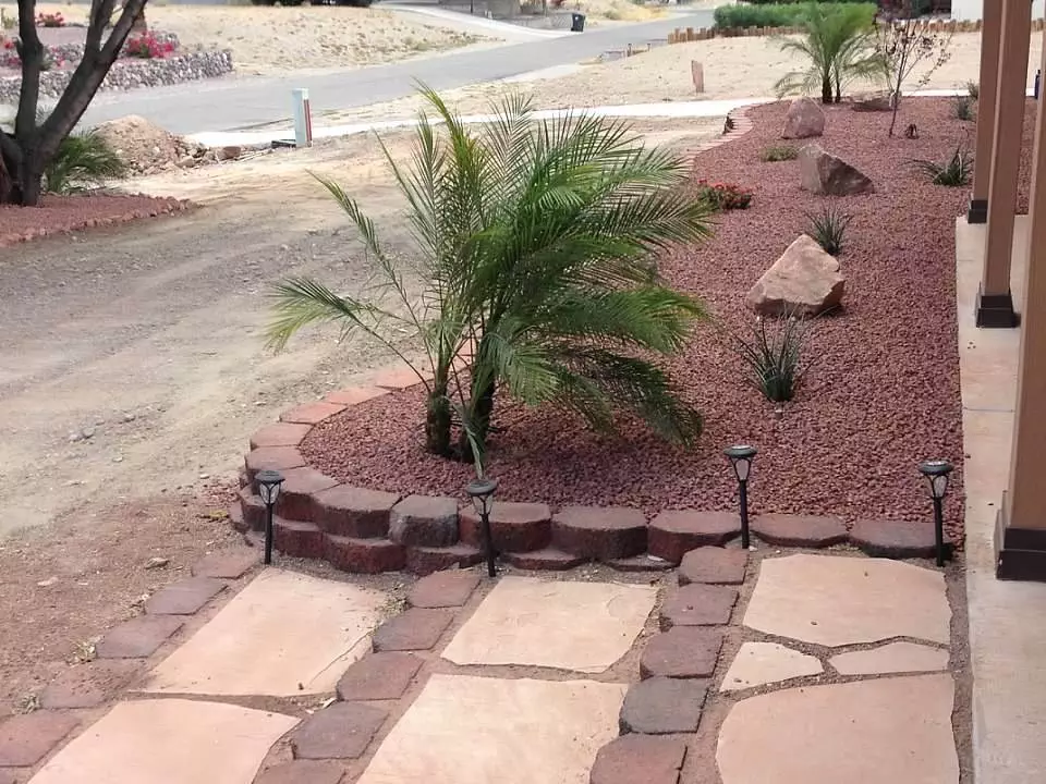 Plant Landscaping in Bullhead City, Kingman, and Lake Havasu City