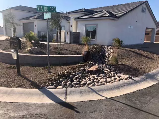 Plant Landscaping Services in Bullhead City, Kingman, and Lake Havasu City